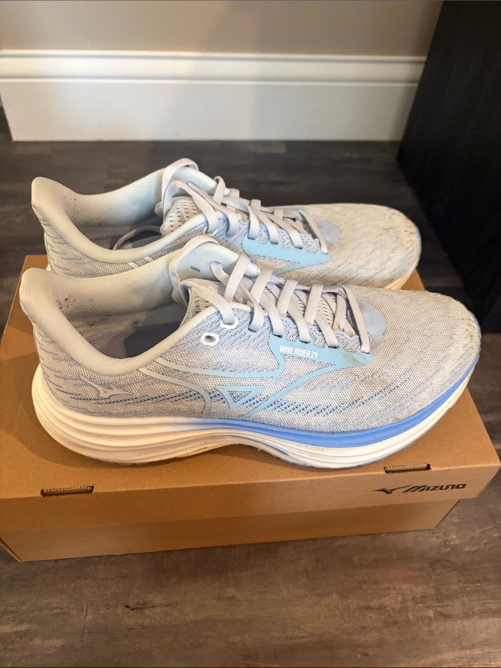 Mizuno Wave Rider 29